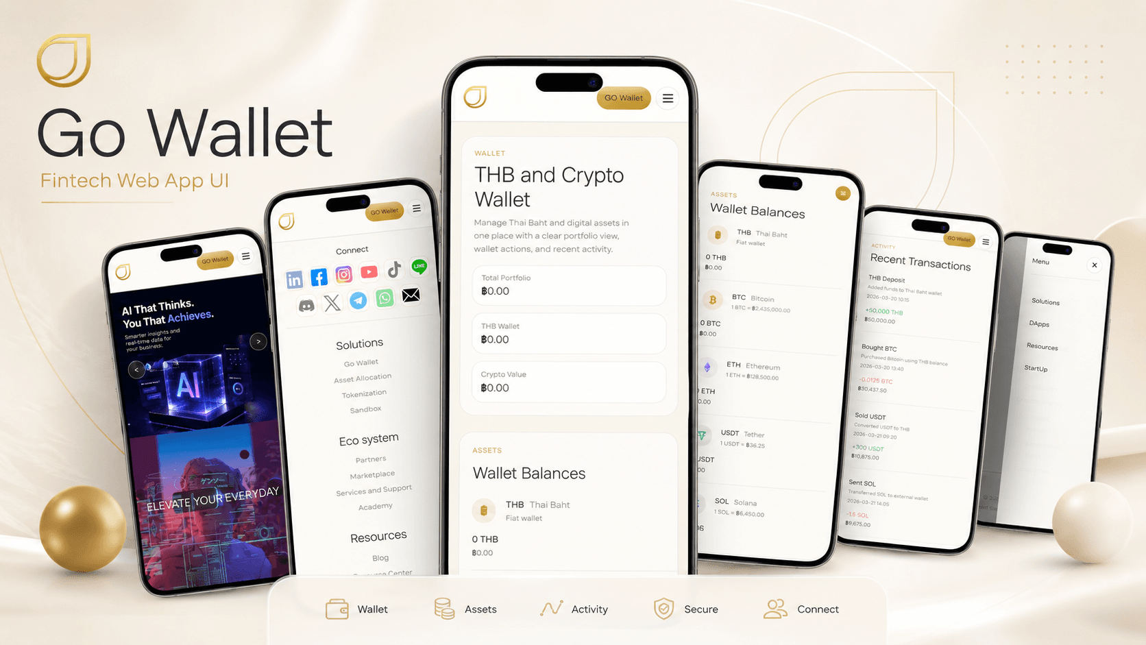 Go Wallet fintech web app project cover